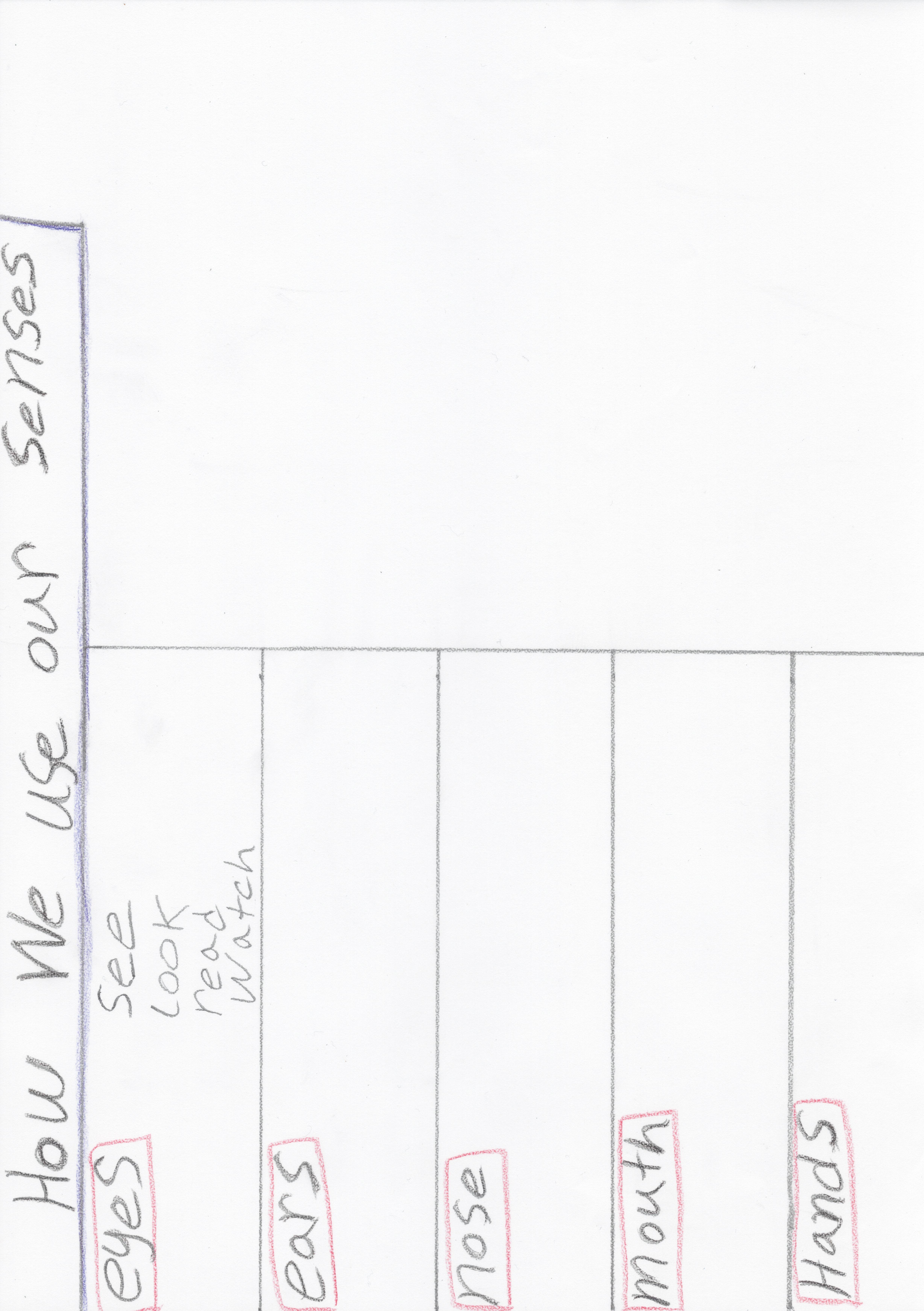 How we use our Senses-template